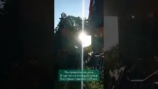 У кого есть животные, посмотрите🙏