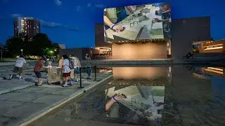 Fingerboard Orchestra: Performed by Flower Skate Shop, NY