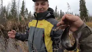 В попытке найти и поймать хариуса.Река первая.