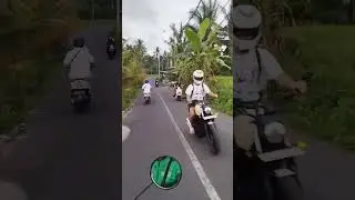 Убуд природа