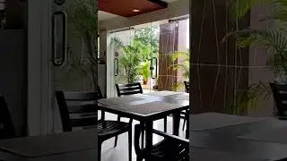 Cat 😂