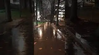 RAINING DAY