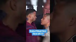 Pitbull vs Rolly face off 1