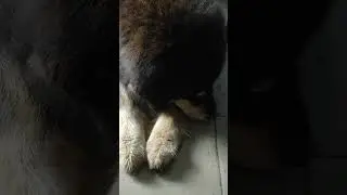 Тася обиженка