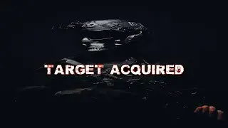 TARGET ACQUIRED