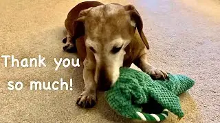 Lacey opens her gifts from Remy, Callie, and Debbie @Remyboyandhismommy