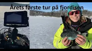 Team Colibri på årets første fjordis