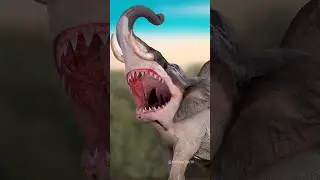 Elephant + Shark =? #photoshop #art #digitalart #animals