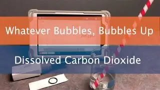 Dissolved Carbon Dioxide