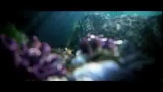 ShapeShifter   Оборотень