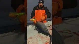 Albacore Tuna Fishing August 2024 DAY 3 WINDY #yakventures #albacore #tuna