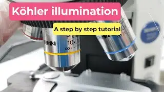 Köhler illumination || A step by step tutorial.