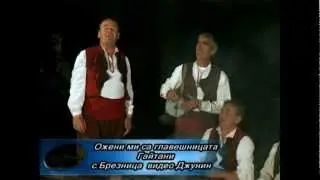 Гайтани - 