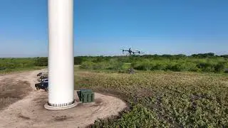 T40 drone spraying mesquite trees