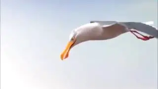 Бірлік болмай,тірлік болмас.