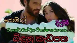 බිඳුනු කැඩපත (Alow the Entellect) @ JANU  9522 💜💜එක කොටසක කථාංගය  ,,,,