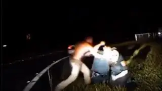 DashCam Video: Deputy Shoots and kills suspect after scuffle in Florida