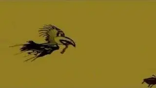 Just a Test