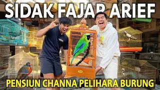 SIDAK PELIHARAAN FAJAR ARIEF! PENSIUN CHANNA JADI PELIHARA BURUNG MAHAL?! HEWAN ISTIMEWA! PART 1