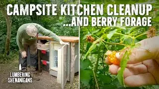 Forest Maintenance: Campsite Kitchen Cleanup & Forage