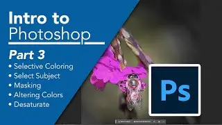 Photoshop Bootcamp for Beginners (Part 3): Masking and Selective Coloring