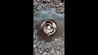 Шоколадное трио с цветочком