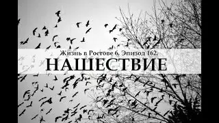 Жизнь в Ростове 6. Эпизод 162. НАШЕСТВИЕ.