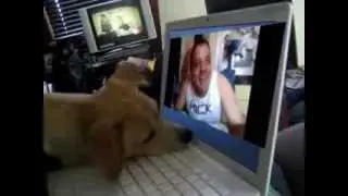 q q isso josé?