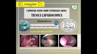 I  TÉCNICA LAPAROSCÓPICA  'virtual-Equus'