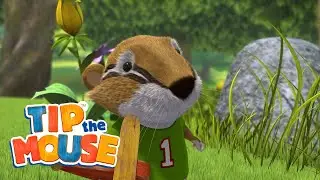 Car and plane - Tip the mouse🐭🧀