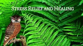 Relaxation music for stress relief and healing