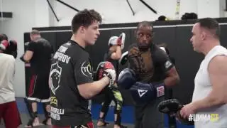 Ultimate MMA and Jiu Jitsu: STRIKING