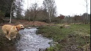 The effect of a fast shutter speed when shooting video