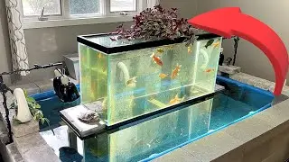 Adding some plants to our indoor pond!