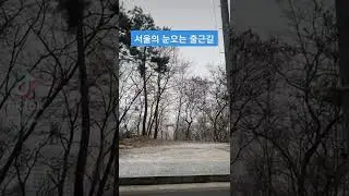 눈오는 서울의 출근길.. 이쁘다~#Shorts