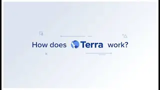 How Does Terra Work?