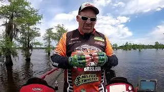 Mister Twister Buzz Bug Twister Fishing