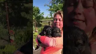Девчушки уже видят мир🥰🥰🥰 