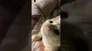 любите понедельник?) 