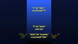 Ich verstehe Deutsch, I understand German, aber ich kann nicht richtig sprechen but I can't speak it