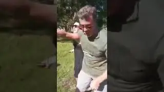 Суета в парке!