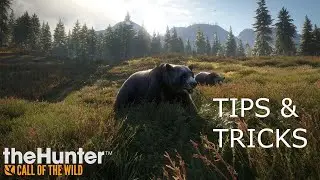theHunter: Call of the Wild™ | Tips & Tricks