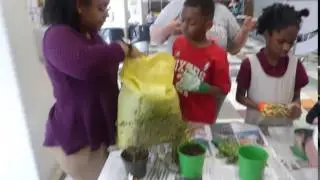 Potting herbs