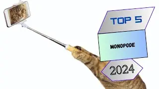 Top 5 : Monopode en 2024