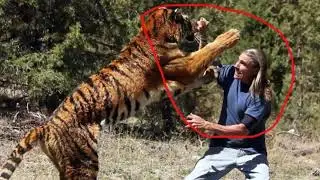 Top 10 Most Dangerous Animals in the World, 2020
