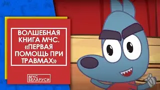 Волшебная книга МЧС: 