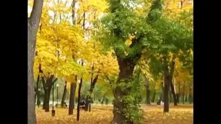 Днепропетровск осень в парке им Шевченко