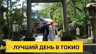 Токио: Капсульный отель, горячие источники и ультратехнологии
