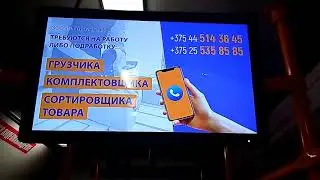 Видеоотчет: размещение информации о поиске сотрудников в автобусах Минска