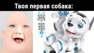 Твоя первая собака: